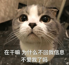 对象还不回消息表情包