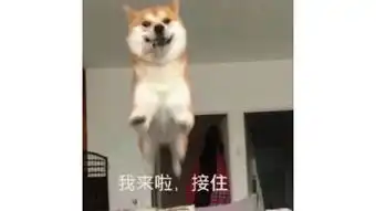 因为小包总,我和闺蜜撕逼了