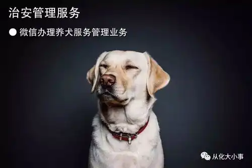 广州警方推出15项便民新举措,必有一项让您受用