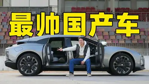 我要买gtr国产电动对开门那种