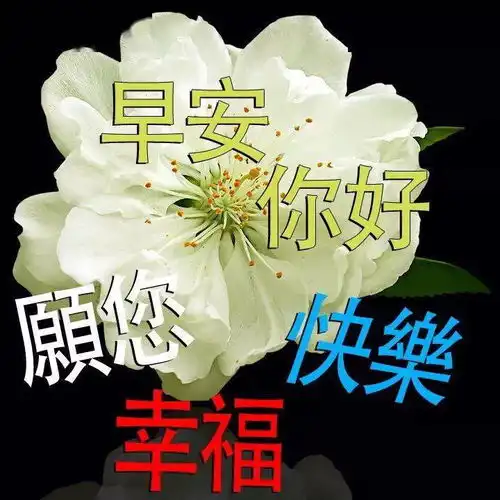 每天祝福早上好的祝福语短信句子,最新版日常早安带字图片问候语动态图片
