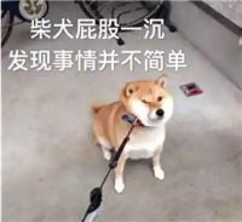 赵丽颖说她皮肤白,竟然是因为美团外卖