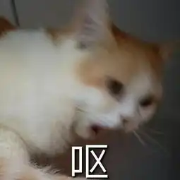 呕呕呕表情包堆糖,美好生活研究所