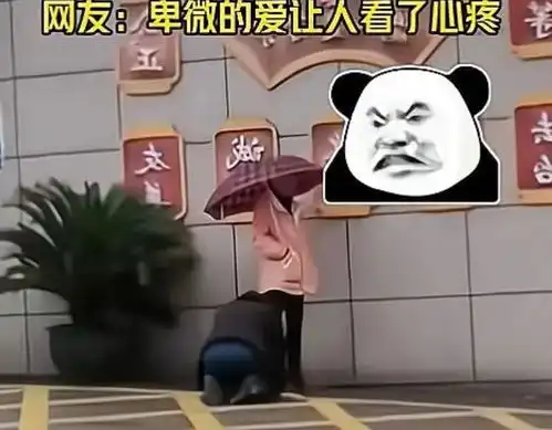 民政局前男子下跪哀求,妻子不为所动,网友迟来的爱比草贱