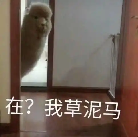 表情搞笑超逗的表情包,爱的目光锁定你表情