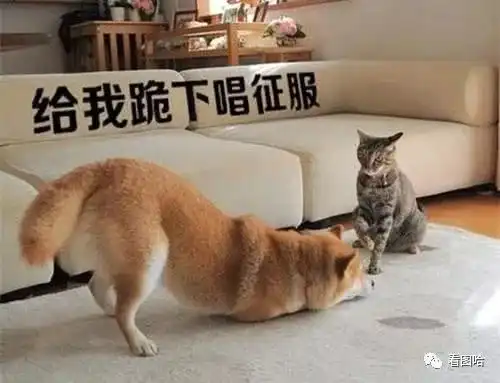 幽默笑话女生去洗手间,哥们打开她的包包看了一眼,结果