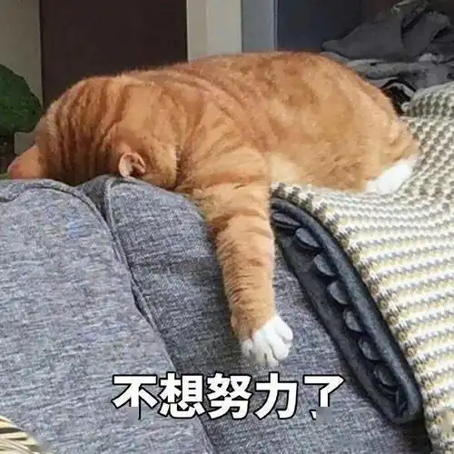 真让人头大
