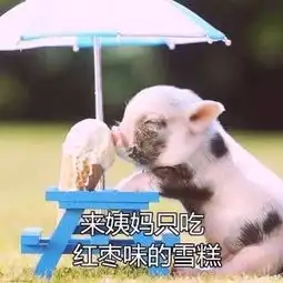 dzy丸子的微博微博
