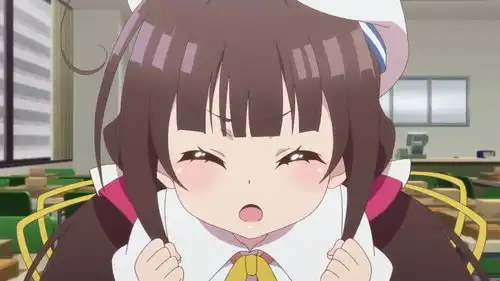 哔哩哔哩专栏