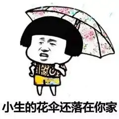 哏儿都正式进入看海模式昨晚一场大雨又玩儿嗨了
