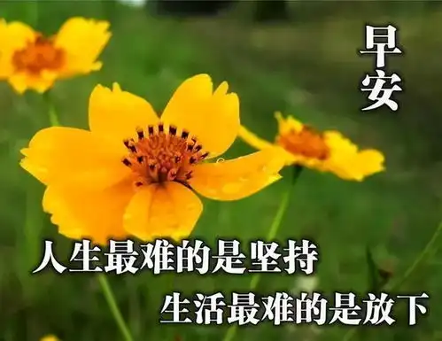 早上问候朋友早安的祝福语,群发微信短信