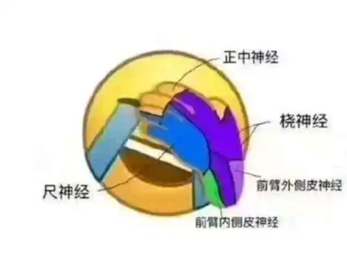 医收藏夹