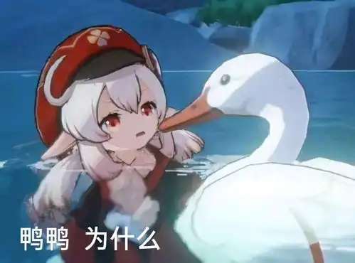 群友们的表情包七