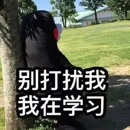 日常今天的hbuers也很心酸呢