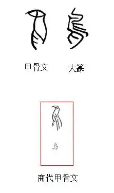 鸟的甲骨文怎么写