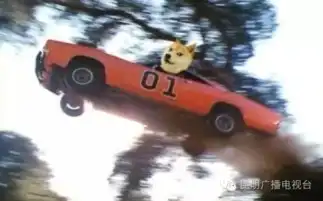 你总用的doge表情,背后的故事你造吗