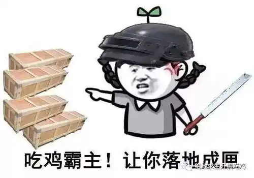 绝地求生开黑吃鸡能没几个像样的表情包装逼