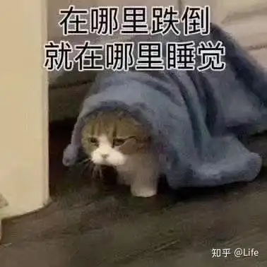 如何从福州城管那里取回被扣留的电动车