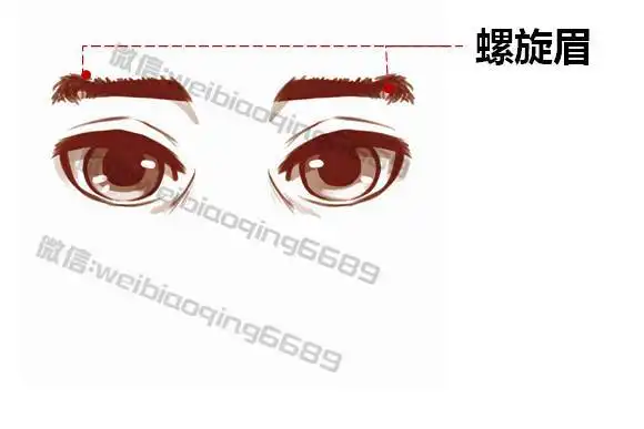 微表情系列哪种眉毛形状有发财迹象