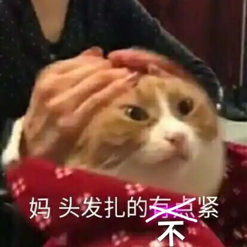 自己梗也玩儿万茜晒图自黑脏辫不听使唤,粉丝评论区斗图