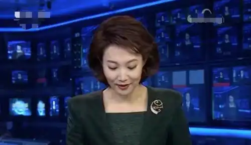 央视主持李梓萌被调侃贷款上班,43岁仍单身康辉帮她征婚