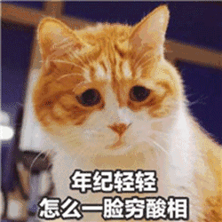 湛江人最不想回答的16道问题,拜托你们别再问了