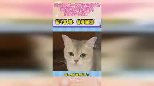 当小猫第一次吃中国零食,表情震惊不像演的,给孩子吃呆了
