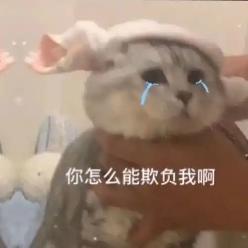 表情包懂了,我就是你可有可无的网友