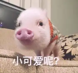 整整一周的状态都被这几首歌唱完了