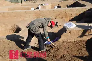 因鬼吹灯迷上考古的90后女汉子用漫画科普考古,把甲骨文做成表情包
