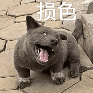 这些蔬菜,汪星人碰不得