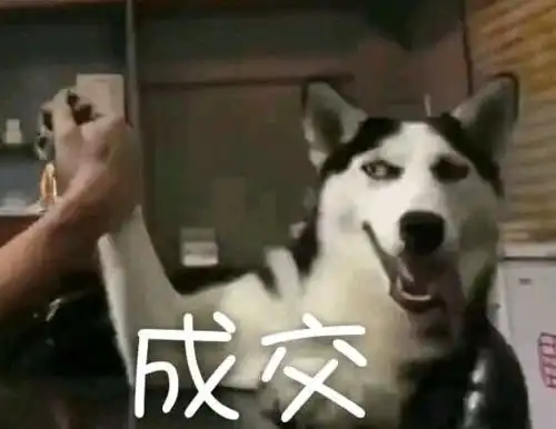 智能净鞋杀菌除臭效率高达99.9,网红臭鞋子的克星来了