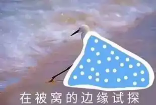 问事务风雨交加,气温倒挂冷冷冷冷冷......今天白天最高气温创新低