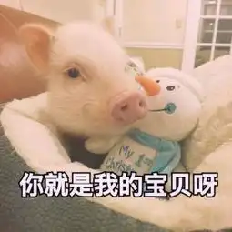 在线收听islsnd的播客荔枝