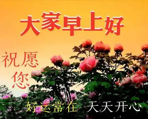 关心朋友的早上好带文字表情,祝愿你好运常在,天天开心