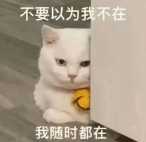 陕西省气温实况