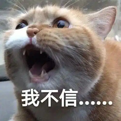 好扯主人把狗狗染成星空犬,只为让它更自信,别把无知当个性