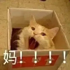 有个好玩的妈妈是种什么样的体验网友笑成了一台发动机