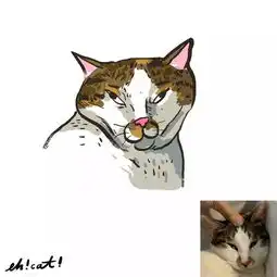 他把猫主子画的这么丑,却以魔性画风吸引了无数粉丝