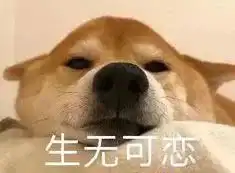 假期过半,我找到了最舒适的度假姿势