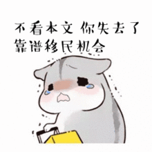 圣基茨护照移民骗局套路总结