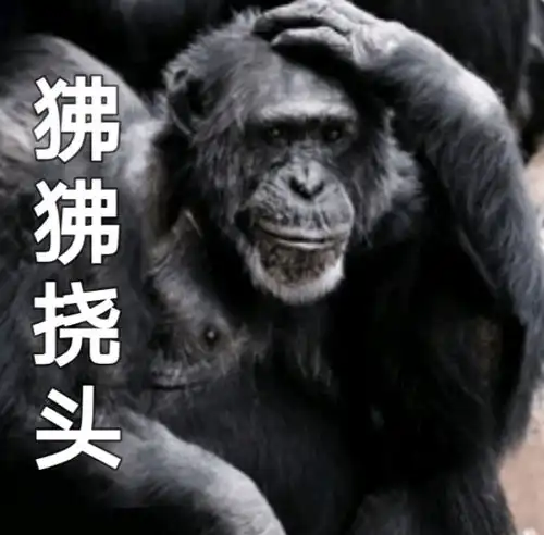 哔哩哔哩专栏