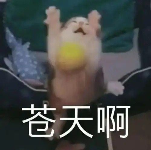 叮第2期粤b摇号结果来啦