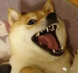 全智贤不说话,也能撩你一集蓝色大海