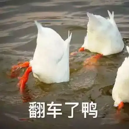 红黑榜2019照着这篇买买买,一分钱都不浪费