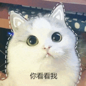 疫情下我的生活vlog视频号征集活动结果揭晓