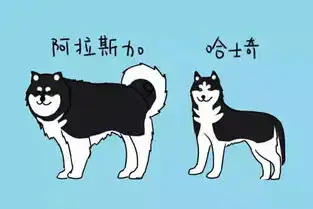 别再把花美男阿拉斯加犬当成二哈了,阿拉斯加会哭的