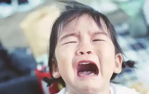 为什么现在的很多孩子都没有感恩之心了
