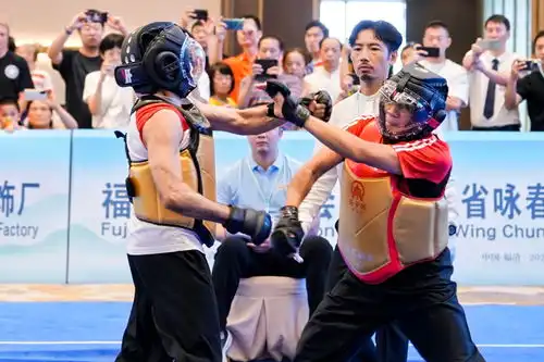 武林争霸,决胜咏春首届世界南少林咏春拳大赛决出36名项目冠军