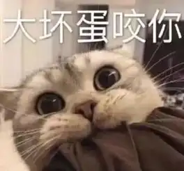 两性聊天时,把在干嘛改成这些表情包,保证你分分钟脱单